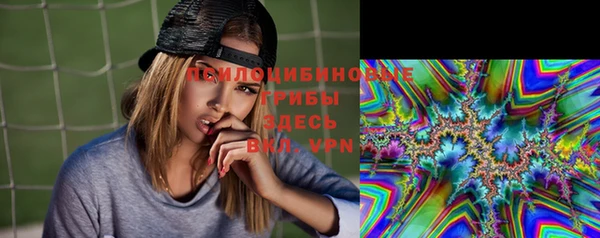 mix Белокуриха