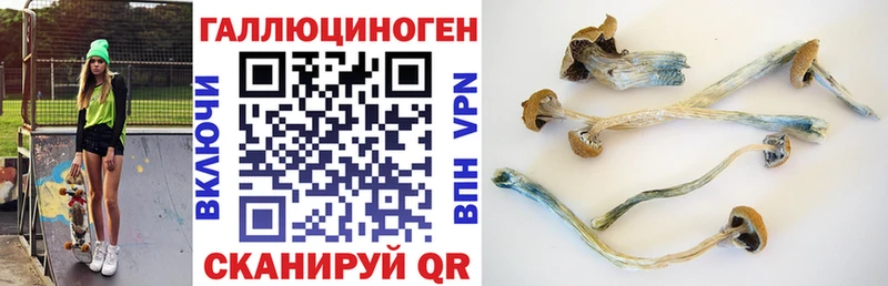 Псилоцибиновые грибы мухоморы  наркошоп  Гудермес 
