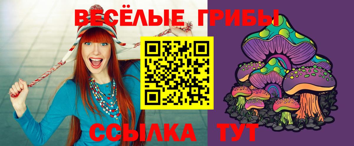 Галлюциногенные грибы GOLDEN TEACHER  Вход с VPN  цены   Гудермес 