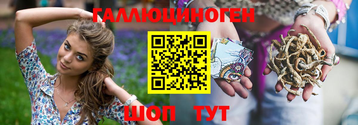 Псилоцибиновые грибы прущие грибы  Гудермес 