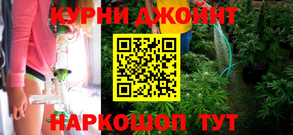 МАРИХУАНА семена Гудермес